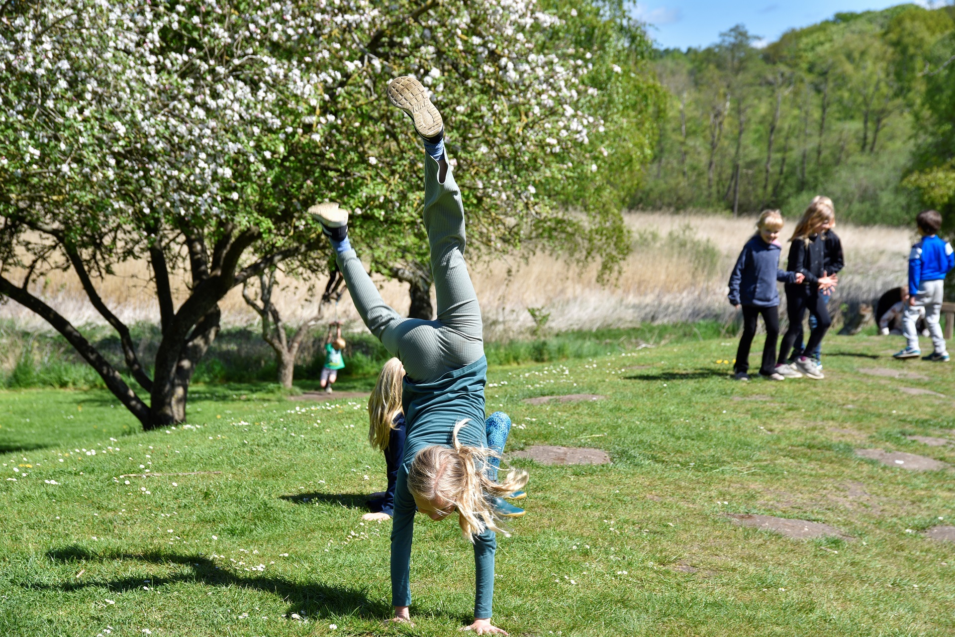 Pædagogisk grundlag